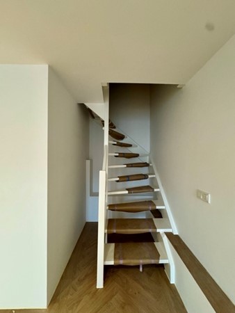 IMG_7361 Medium.jpeg